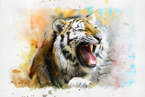 tiger  animal  art