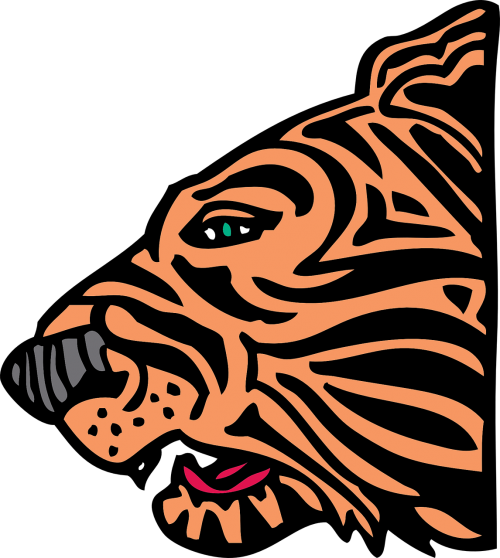 tiger face head