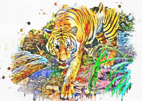 tiger  walking  wild
