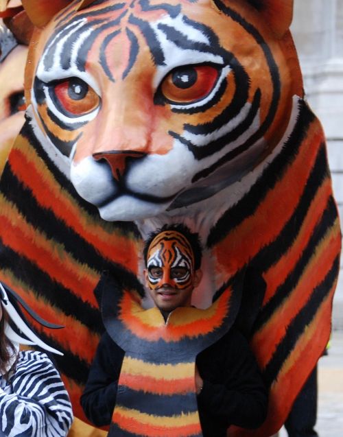 tiger mask costume