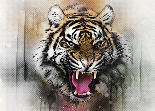tiger  cat  predator