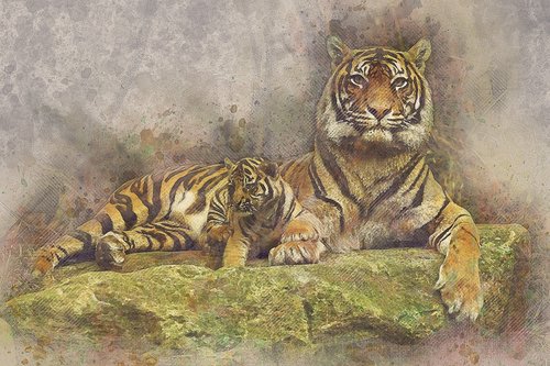 tiger  cat  cub