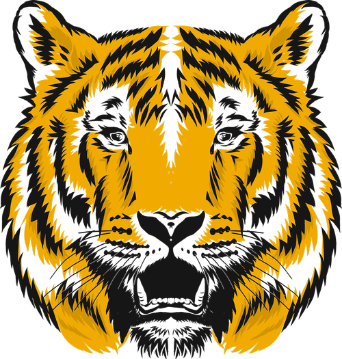 tiger  zoo  nature