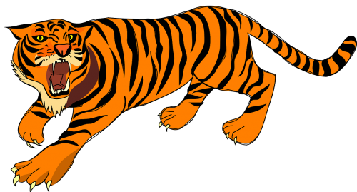 tiger angry defense
