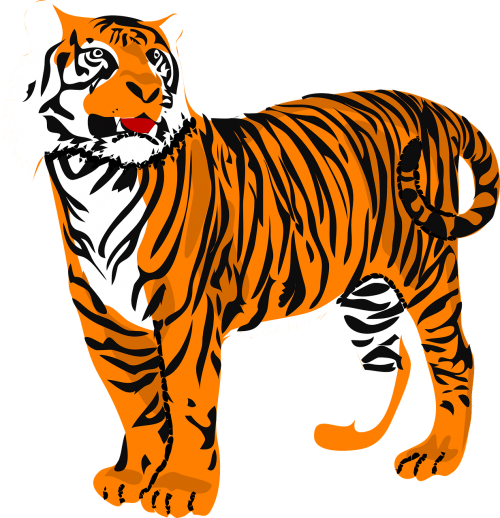 tiger stripes standing
