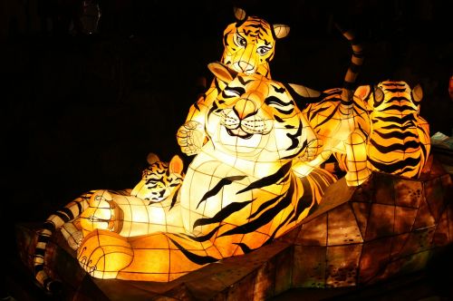 tiger lantern festival cheonggyecheon stream