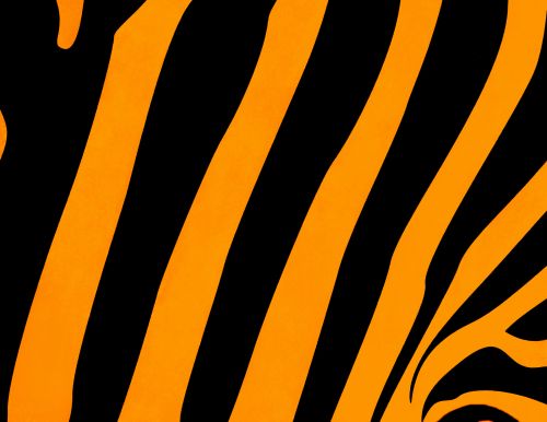 Tiger Background