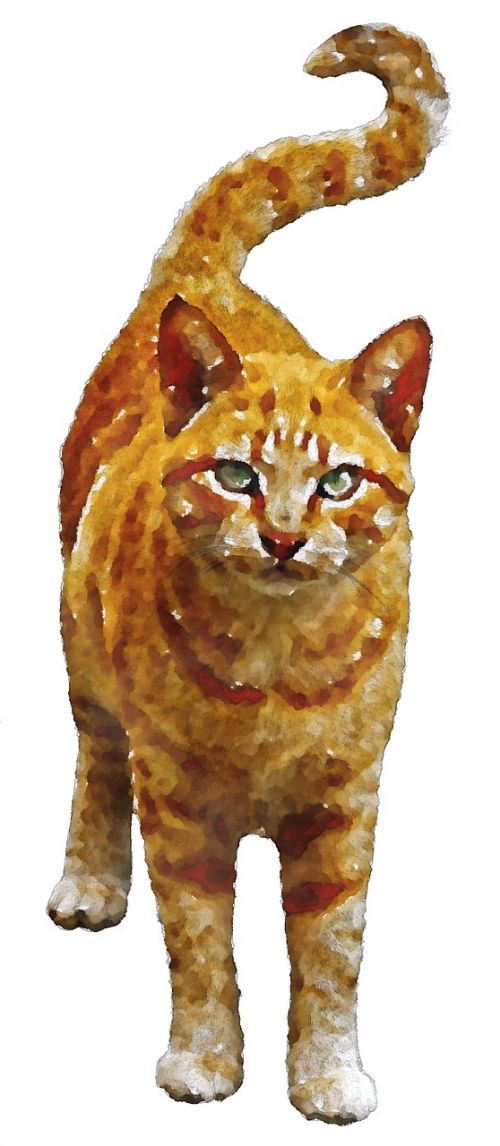 tiger cat cat watercolor