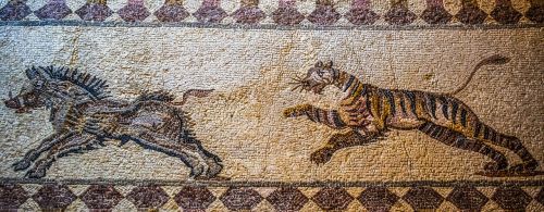 tiger hunting boar mosaic floor mosaic