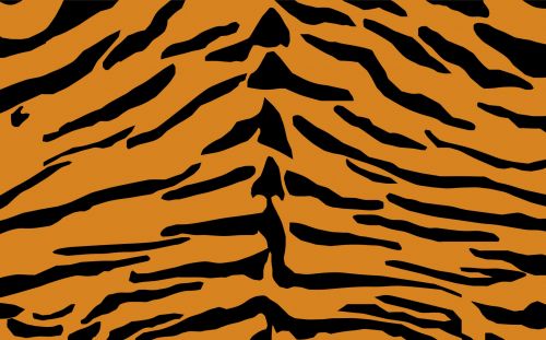 Tiger Skin Print Pattern