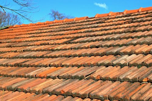 tile roof red