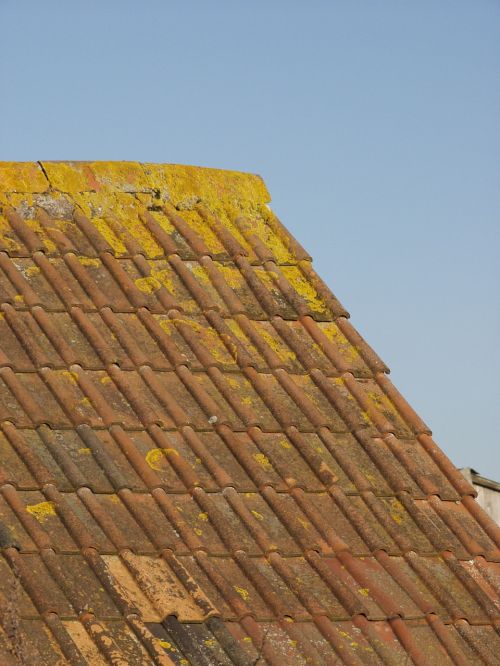 tiles roof architecture