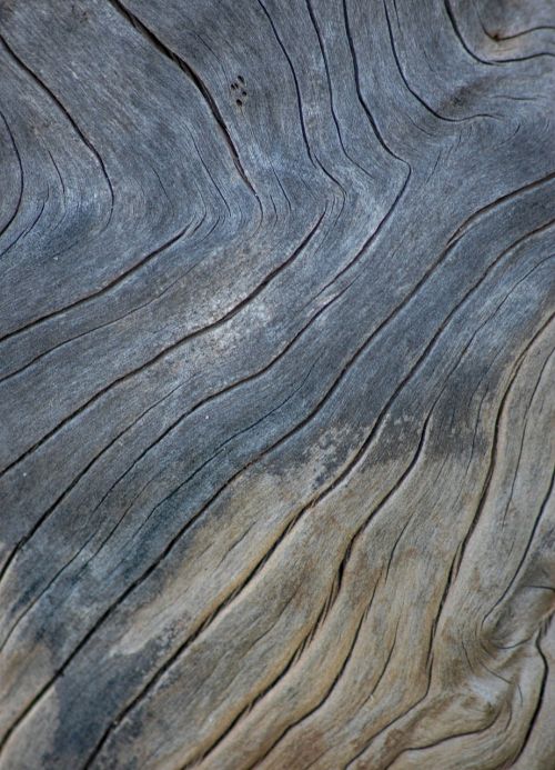 timber wood texture background grain