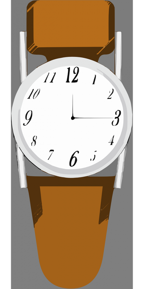 time watch accessories