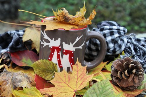 time for tea  colors of autumn  autumn