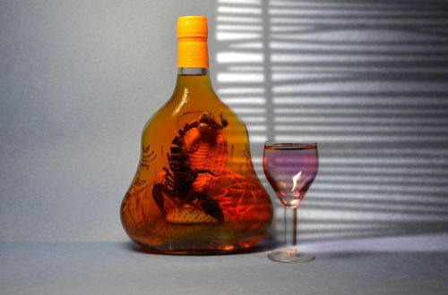 tincture vodka scorpion