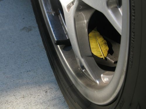tire automotive leaf