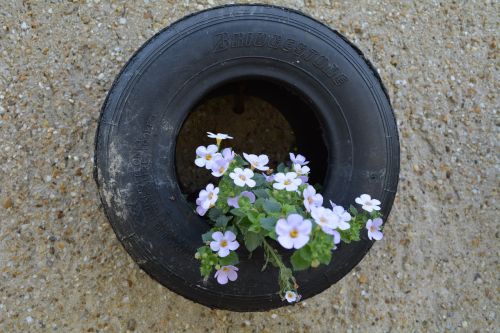 tire flower idea