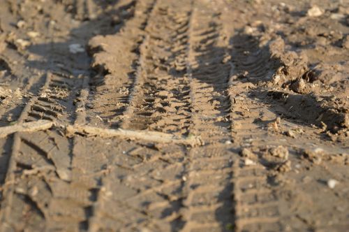 tire tracks mature arable