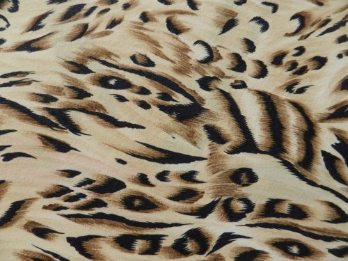 Animal Fabric Patterns 2013 (1)