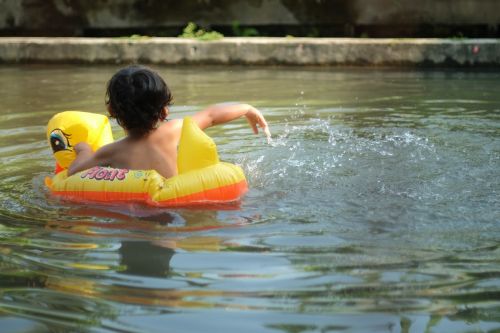 to swim outdoor fish