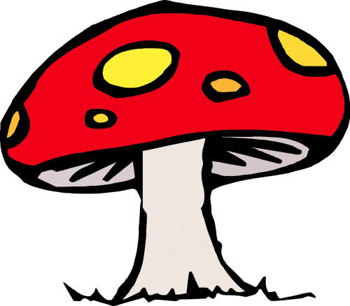 toad-stool mushroom fairy tale
