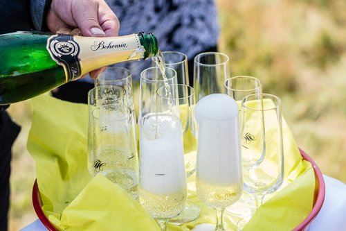 toast  wedding  champagne