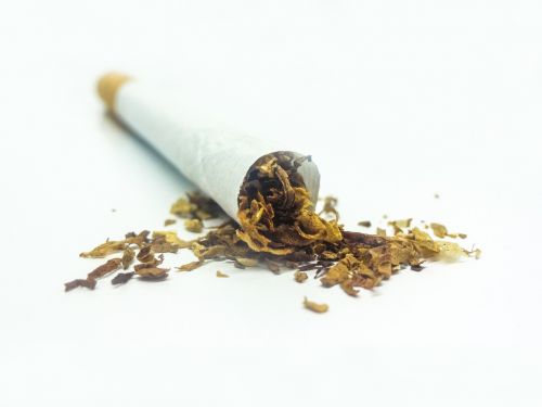tobacco cigarette white background