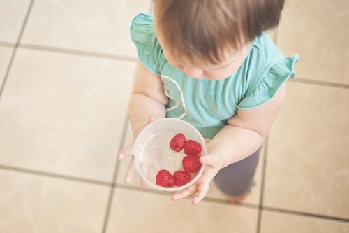 toddler raspberries holding