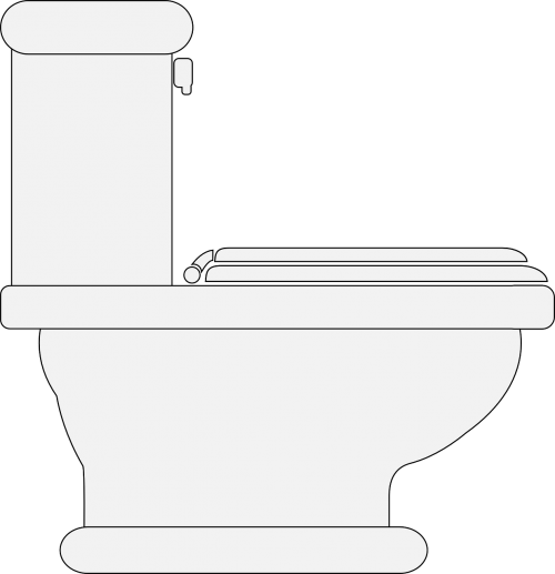 toilet restroom lavatory