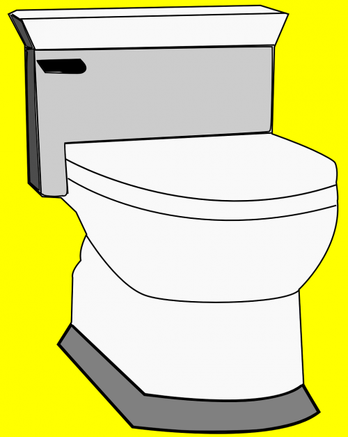 toilet loo seat