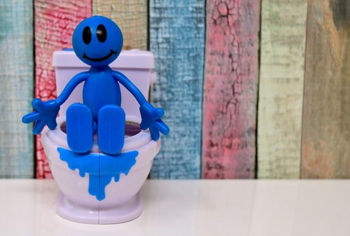 toilet  smiley  figure