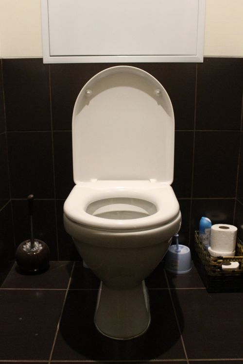 toilet wc toilet room