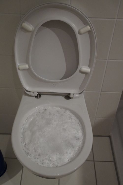toilet loo wc