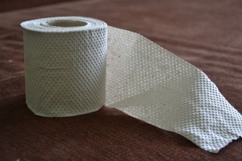 toilet paper paper the tape