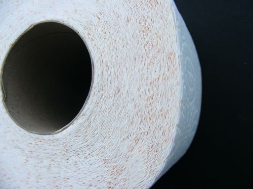 toilet paper toilet paper
