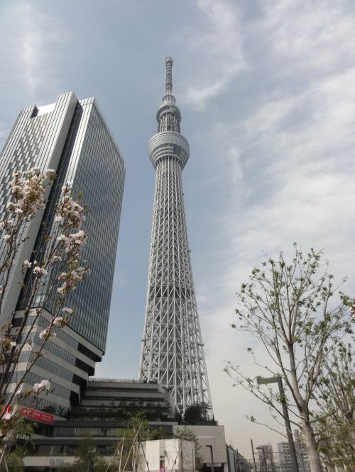 tokyo japan skytree