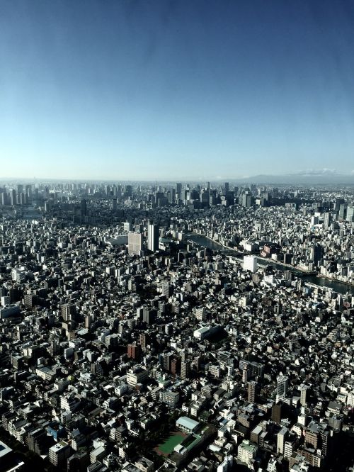 tokyo sky bird's eye view