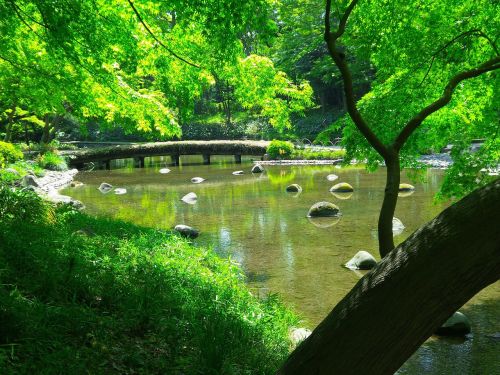 tokyo japanese garden