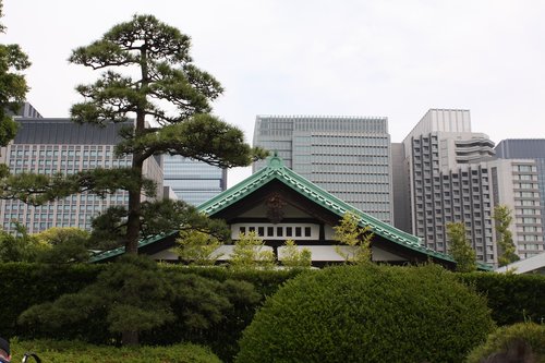 tokyo  park  garden
