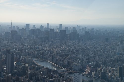 tokyo  japan  city
