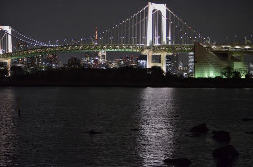 tokyo sea night