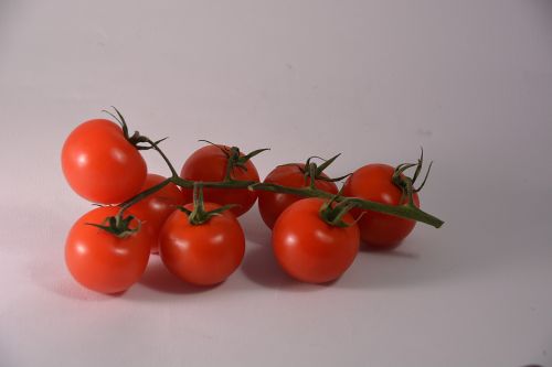 Tomatoes Vine