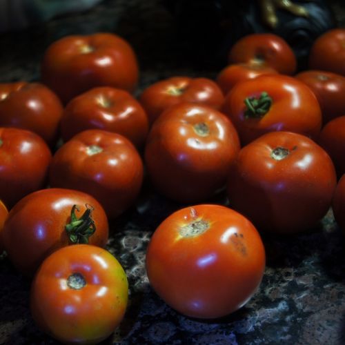 tomato farmer's market fresh