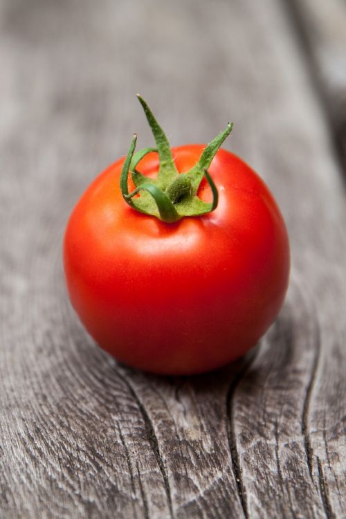 tomato red food