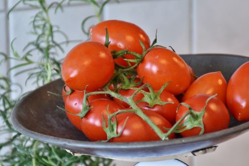 tomato red healthy
