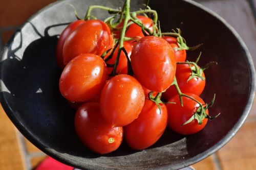 tomato red healthy