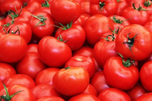 tomato fruits fresh