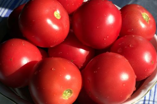 tomatoes red mature