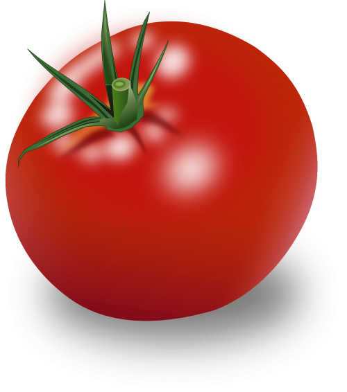 tomato vegetable food